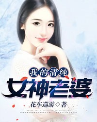 我的清冷女神老婆