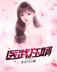 医武狂婿